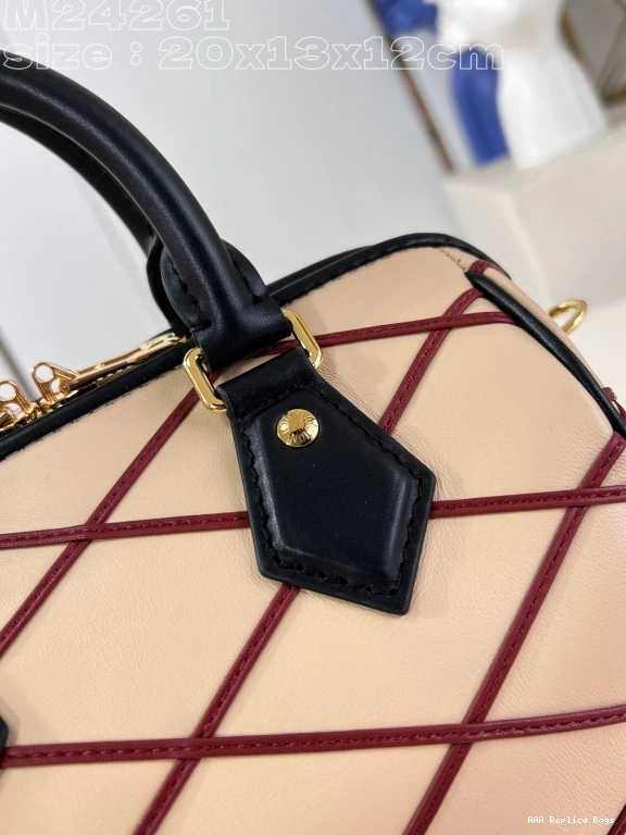 Aaa replica bags VUITTON SPEEDY LOUIS BANDOULIÈRE 20 0824